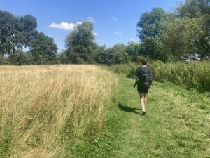 Walking through the wildflower meadow