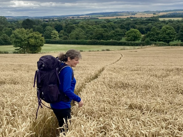 Go on an overnight backpack from home