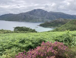 View from road to Sandaig