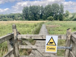 Locked gate - and no stile