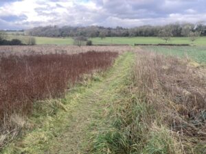 Walk to the source of the River Thanes