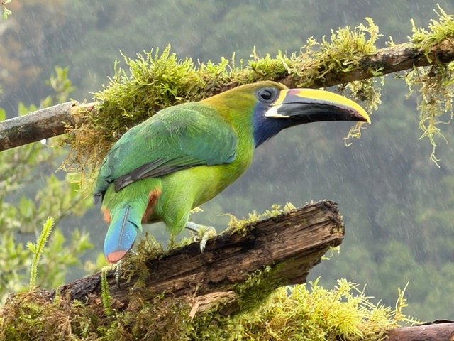 Enjoy 10 wildlife experiences