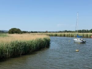 Poole harbour boat trip