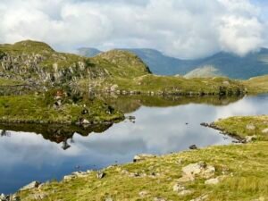 Angletarn