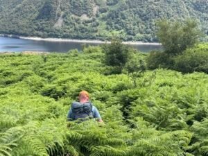 Bracken